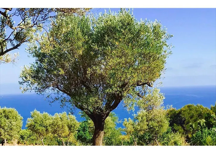 Il Caprarizzo Pensión Palinuro